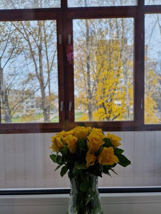 Ilguciema Apartment Riga Ngoại thất bức ảnh